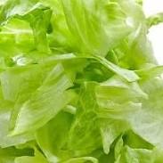 imagem Alface americana